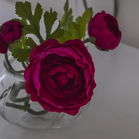 Soleil Apartman Várna